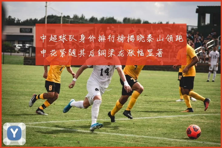中超球队身价排行榜揭晓泰山领跑申花紧随其后铜梁龙涨幅显著